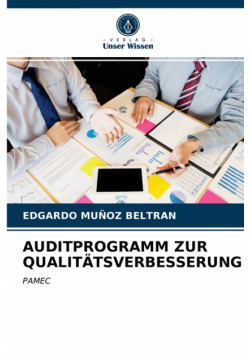 Auditprogramm Zur Qualitätsverbesserung