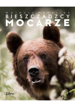 Bieszczadzcy mocarze