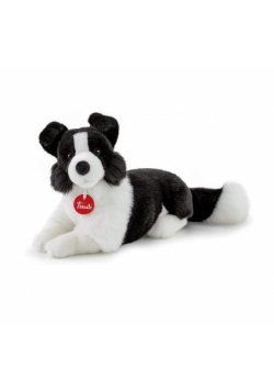 Border Collie M