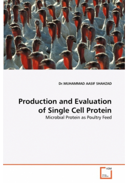 Production and Evaluation of Single Cell Protein