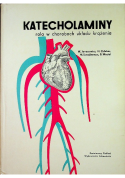Katacholaminy