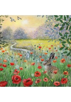Karnet kwadrat z kopertą Hare and Poppies