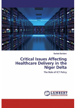 Critical Issues Affecting Healthcare Delivery in the Niger Delta