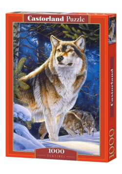 Puzzle 1000 Sentinel CASTOR
