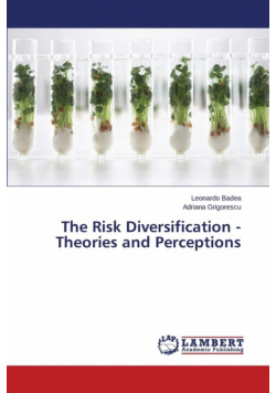 The Risk Diversification - Theories and Perceptions
