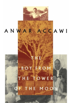 The Boy from the Tower of the Moon
