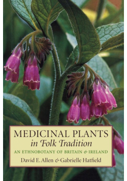 Medicinal Plants in Folk Tradition