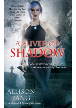 Sliver Of Shadow