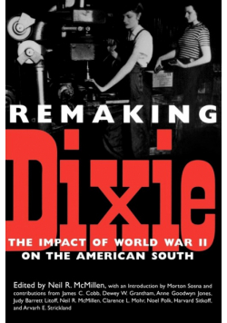Remaking Dixie