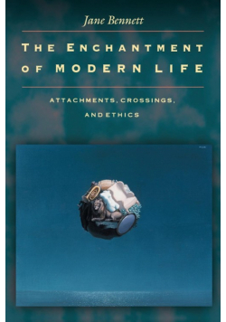 The Enchantment of Modern Life