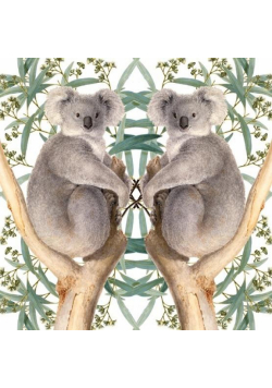 Karnet kwadrat z kopertą Koala