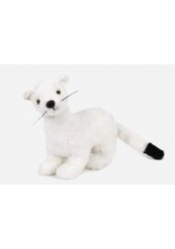 Łasica biała 26cm