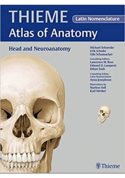 Head and Neuroanatomy