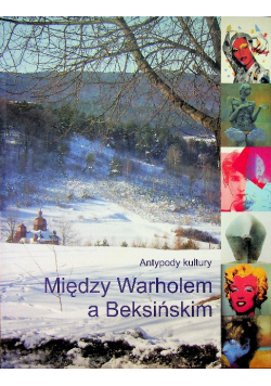 Między Warholem a Beksińskim