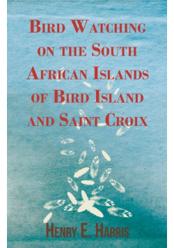 Bird Watching on the South African Islands of Bird Island and Saint Croix