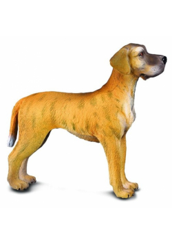 Pies dog niemiecki L