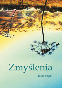 Zmyślenia