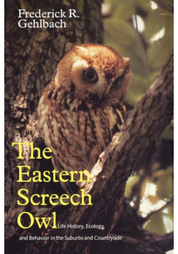 The Eastern Screech Owl