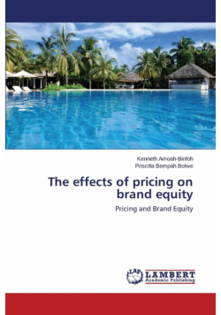 The effects of pricing on brand equity
