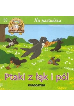 Na pastwisku Ptaki z łąki i pól