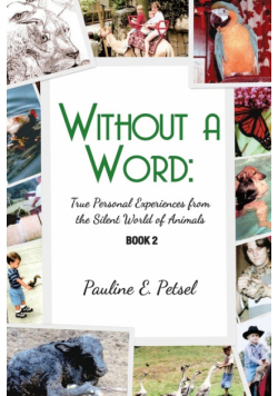Without a Word
