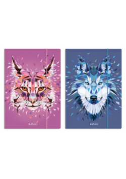 Teczka rysunkowa A4 z gumką Wild Animals mix