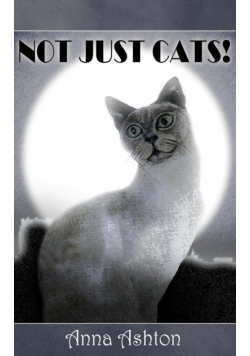 Not Just Cats!