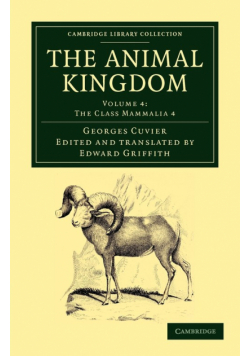 The Animal Kingdom - Volume 4
