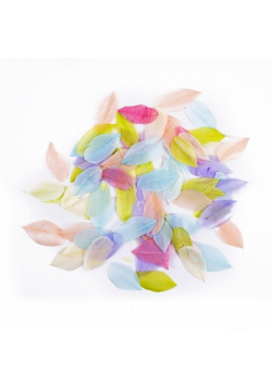 Pióra gęsie pastel 6cm 5g