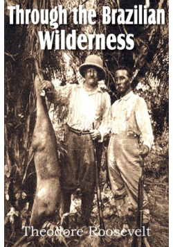 Through the Brazilian Wilderness