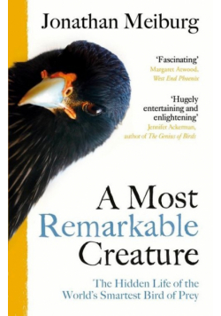 A Most Remarkable