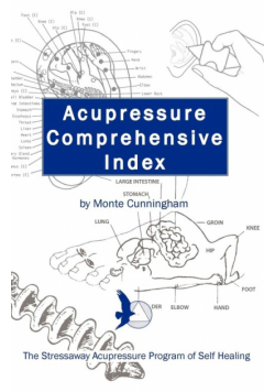 Acupressure Comprehensive Index and the Stressaway Acupressure Program of Self Healing