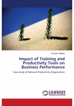 Impact of Training and Productivity Tools on Business Performance