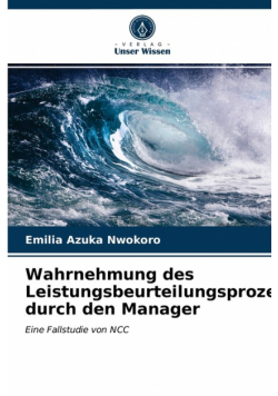 Wahrnehmung des Leistungsbeurteilungsprozesses durch den Manager