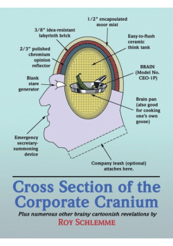 Cross Section of the Corporate Cranium