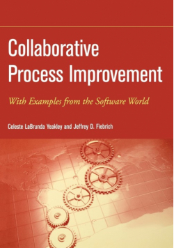 Collaborative Process Improvement