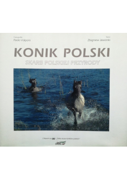 Konik polski Skarb polskiej przyrody