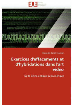 Exercices d'effacements et d'hybridations dans l'art vidéo