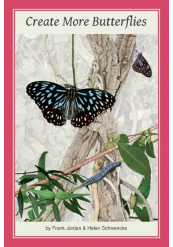 Create More Butterflies