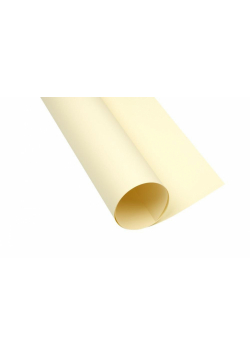 Karton Creatinio A1 160g kremowy (25szt)