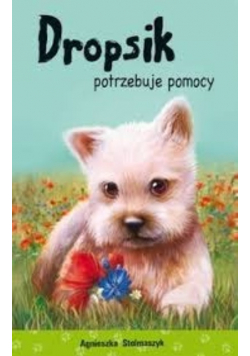 Dropsik potrzebuje pomocy
