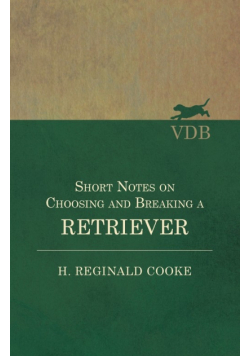 Short Notes on Choosing and Breaking a Retriever