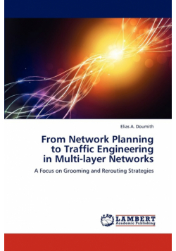 From Network Planning to Traffic Engineering in Multi-Layer Networks
