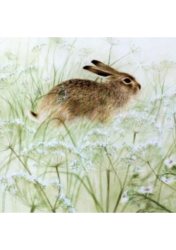 Karnet kwadrat z kopertą Rabbit