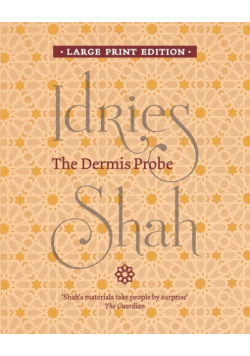 The Dermis Probe