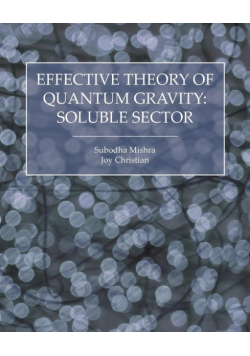 Effective Theory of Quantum Gravity