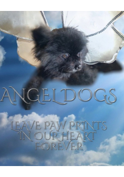 Angel dog  in heaven drawing writing Journal