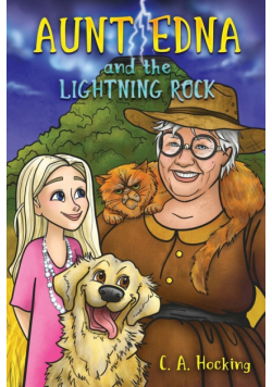 AUNT EDNA and The Lightning Rock