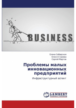 Problemy Malykh Innovatsionnykh Predpriyatiy