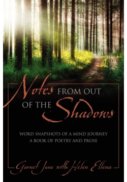 Notes from Out of the Shadows